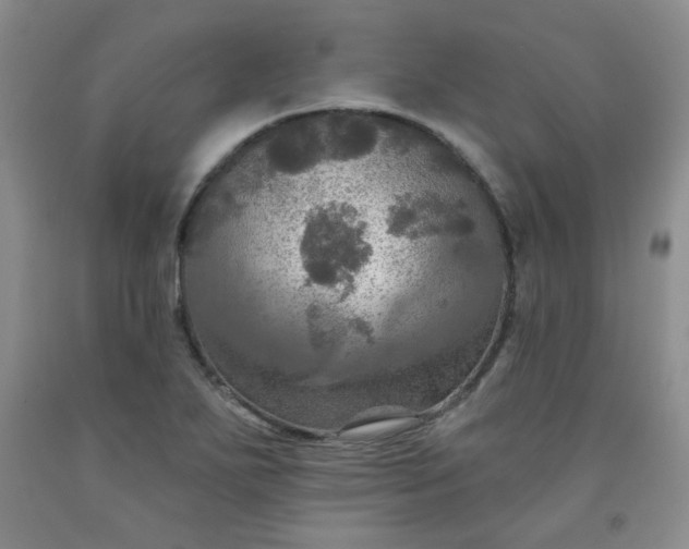 X0000091951271200709201315