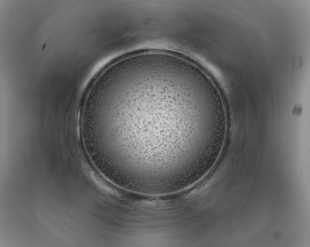 X0000091951272200709201315