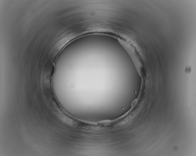 X0000091951273200709201315