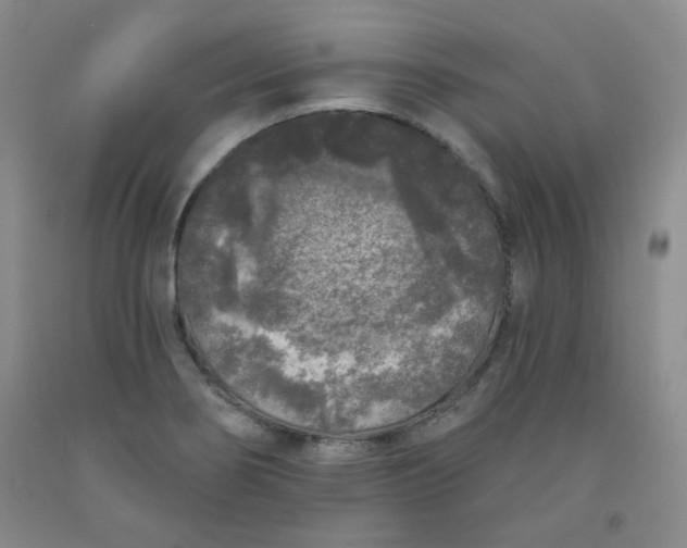 X0000091951274200709201315