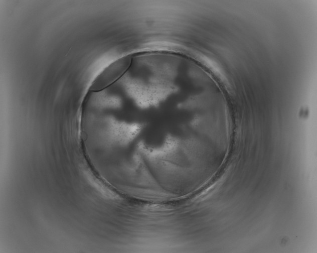 X0000091951275200709201315