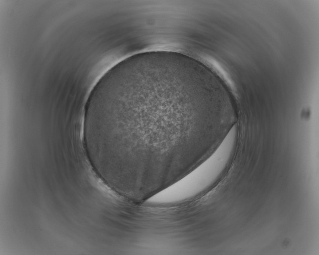 X0000091951276200709201315