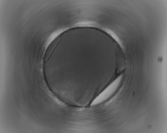 X0000091951277200709201315