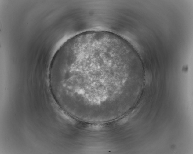 X0000091951278200709201315