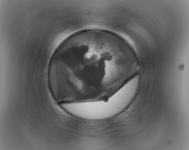 X0000091951279200709201315