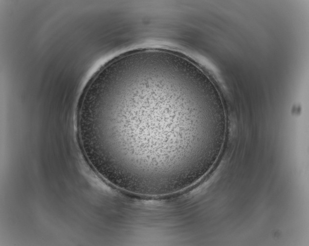 X0000091951280200709201315