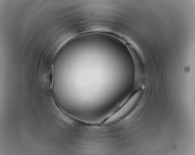 X0000091951281200709201315