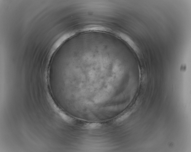 X0000091951282200709201315