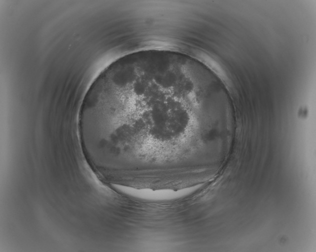 X0000091951283200709201315