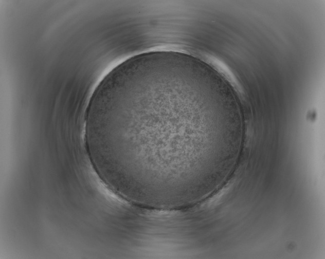 X0000091951284200709201315