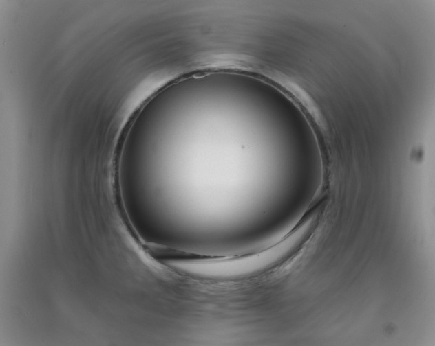 X0000091951285200709201315