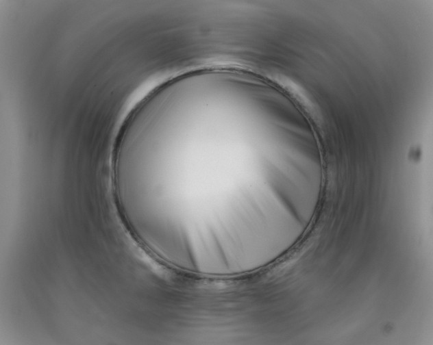 X0000091951286200709201315