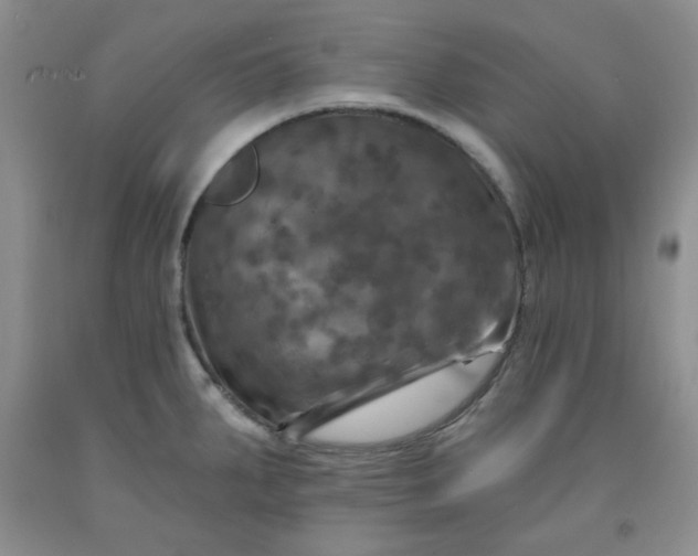 X0000091951287200709201315