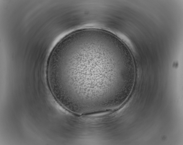 X0000091951288200709201315