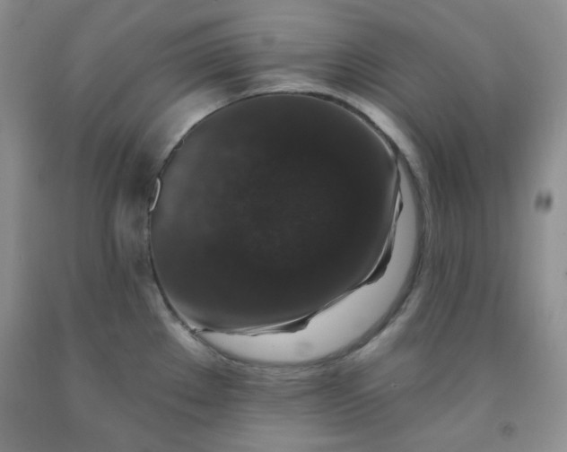 X0000091951289200709201315