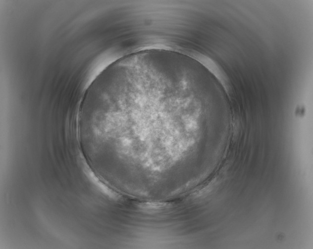 X0000091951290200709201315