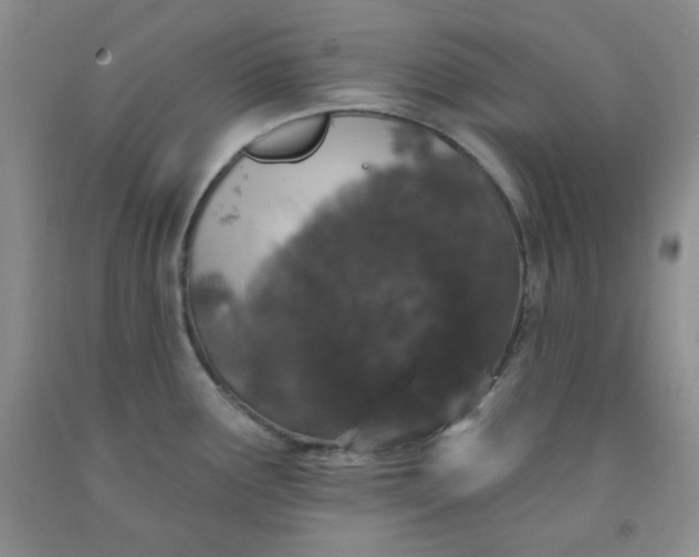 X0000091951291200709201315