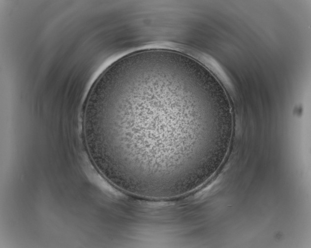 X0000091951292200709201315