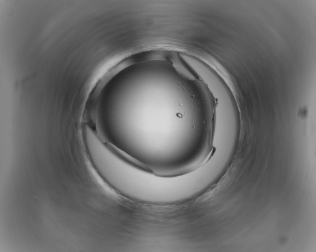 X0000091951293200709201315