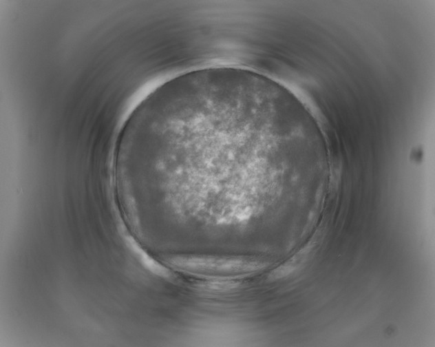 X0000091951294200709201315