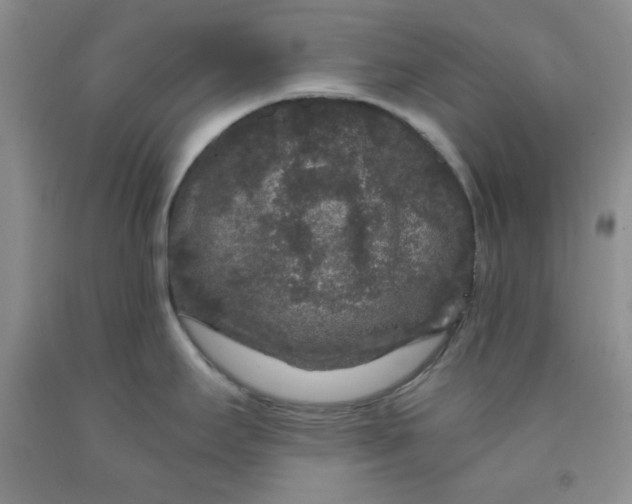 X0000091951295200709201315