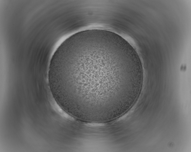 X0000091951296200709201315