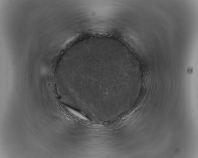 X0000091951297200709201314