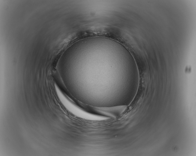 X0000091951298200709201314