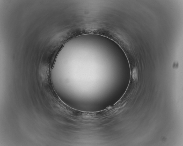 X0000091951299200709201314