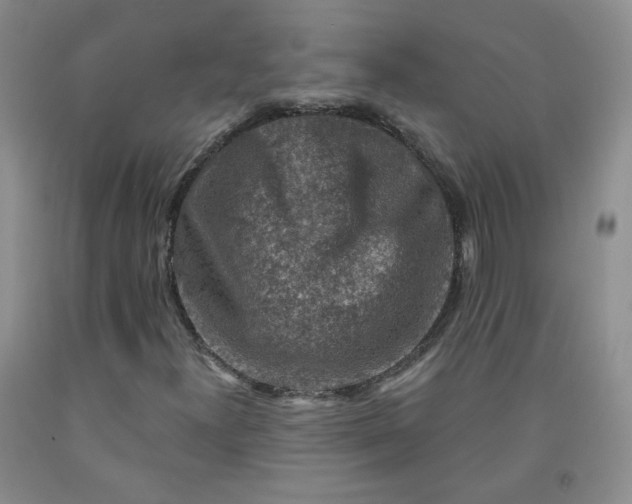 X0000091951300200709201314