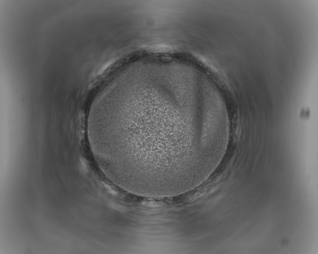 X0000091951301200709201314