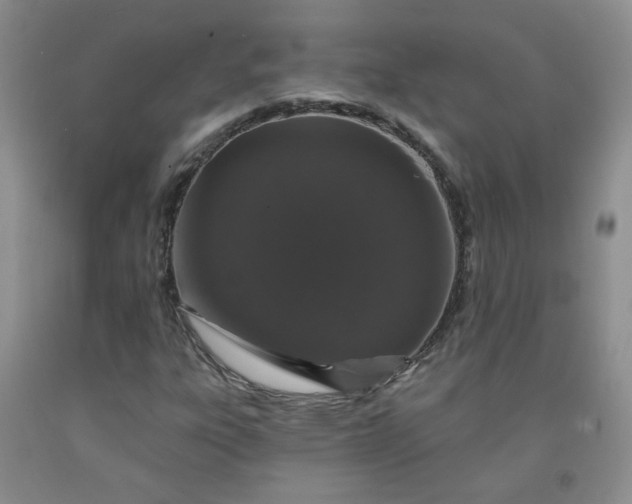 X0000091951303200709201314