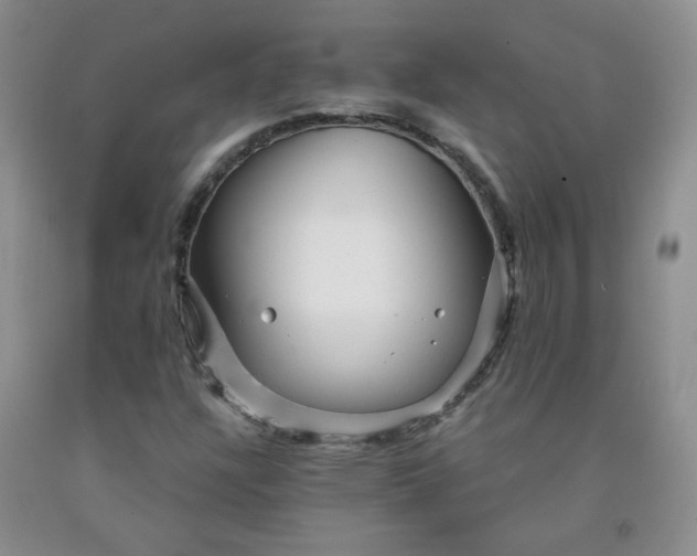 X0000091951304200709201314