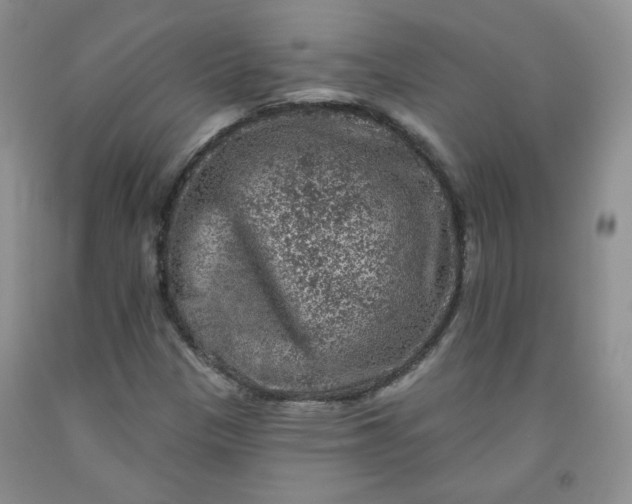 X0000091951305200709201314