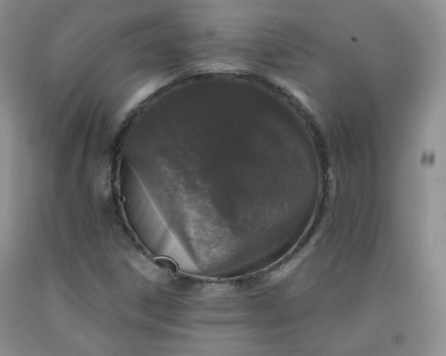 X0000091951306200709201314