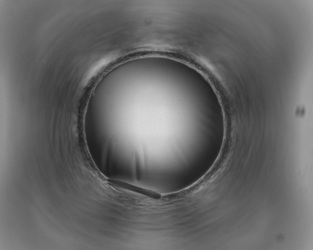 X0000091951307200709201314