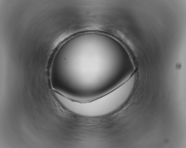 X0000091951308200709201314