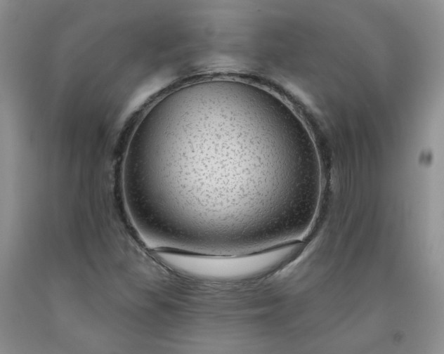 X0000091951309200709201314