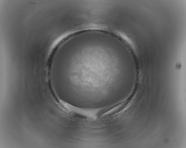 X0000091951310200709201314