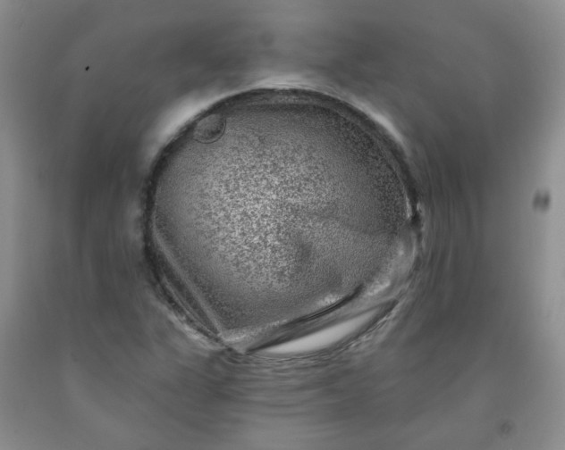 X0000091951311200709201314