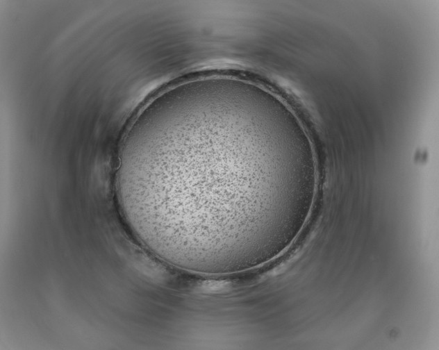 X0000091951313200709201314