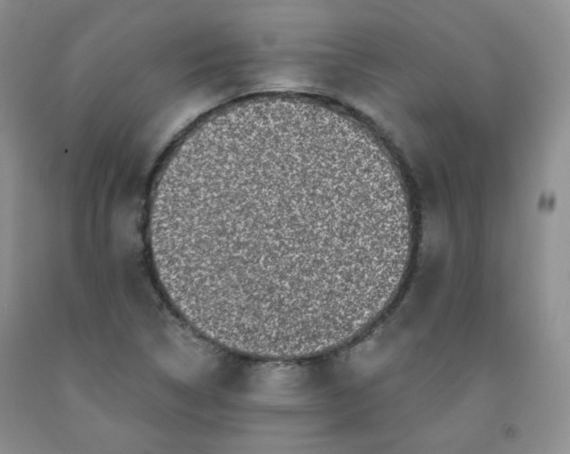 X0000091951314200709201314