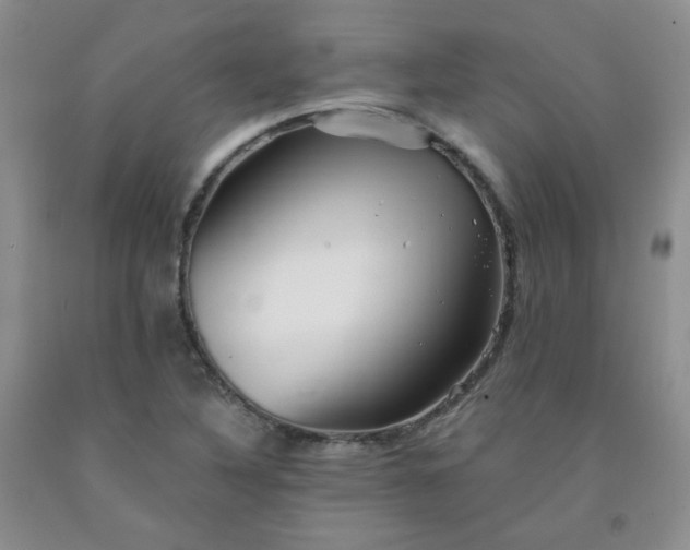 X0000091951316200709201314