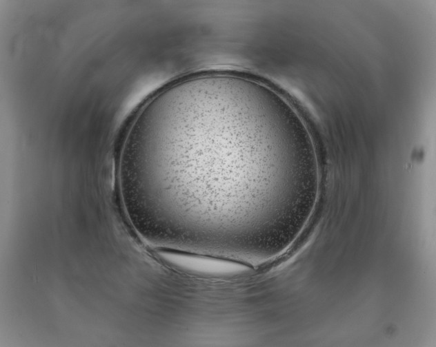 X0000091951317200709201314