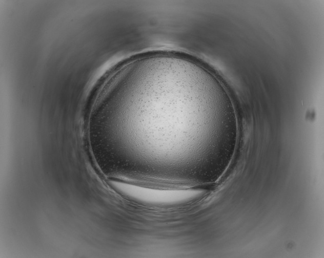 X0000091951318200709201314