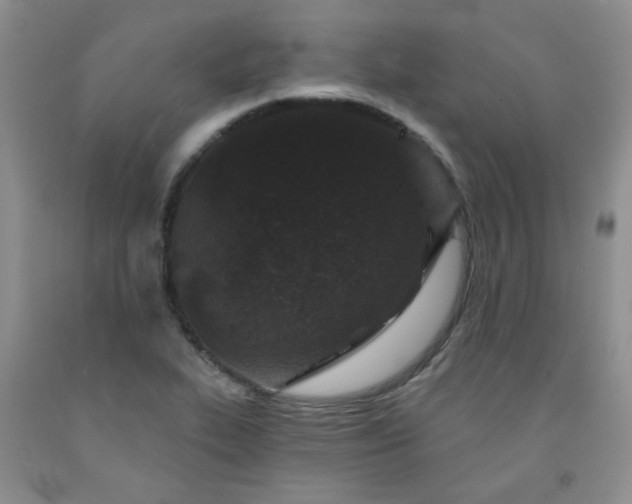 X0000091951319200709201314