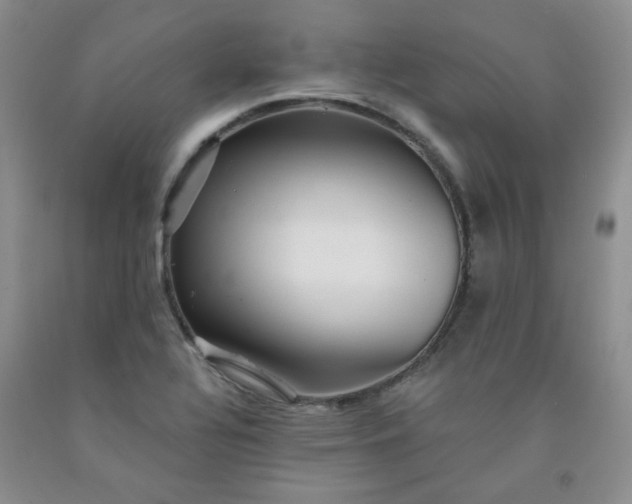 X0000091951320200709201314