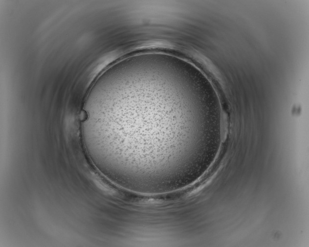 X0000091951321200709201314