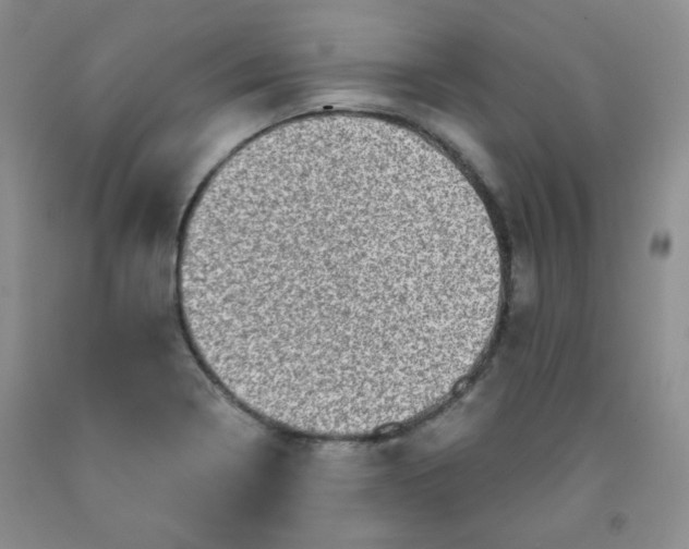 X0000091951322200709201314