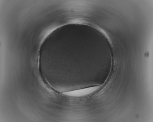 X0000091951323200709201314